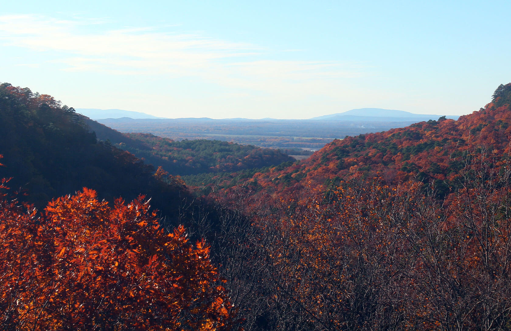 Wynne, AR
